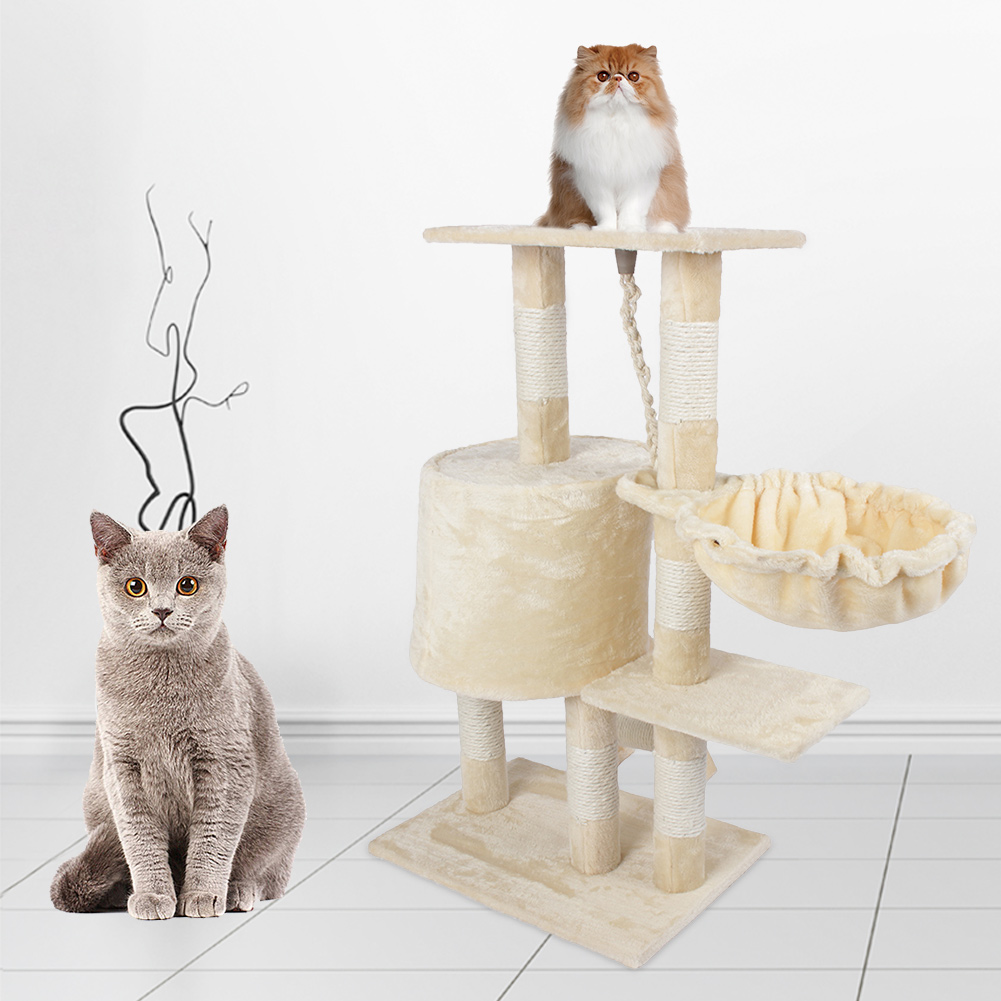 cat stands